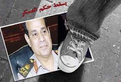 أستاذة بالكلية الحربية للجيش الأمريكي تتوقع سقوط السيسي