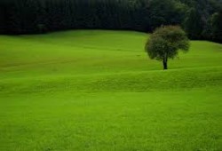 الحياة الطيبة