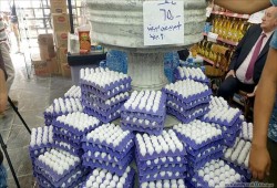 ارتفاع أسعار البيض بنسبة 100%.. الواحدة بثلاثة جنيهات