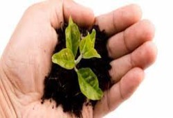 التربية.. (1)