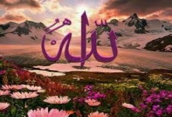 تقلب القلوب