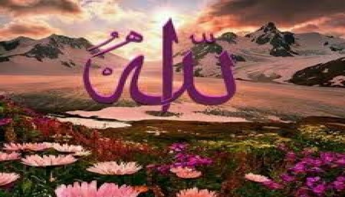 تقلب القلوب