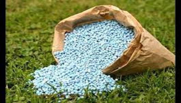 توقعات بزيادة سعر طن الأسمدة المدعمة 400 جنيه