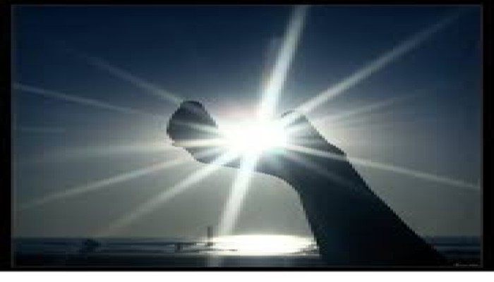 الداعية الحيّ