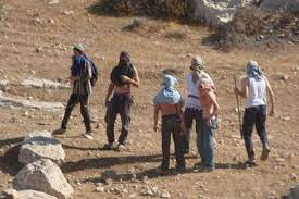 صهاينة يمزقون ويحرقون نسخا من القرآن الكريم في الخليل