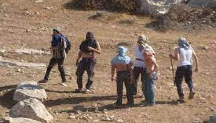 صهاينة يمزقون ويحرقون نسخا من القرآن الكريم في الخليل