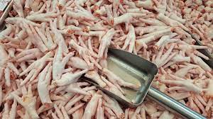 نظام الانقلاب يمهد لمجاعة وشيكة.. البداية بالترويج لأرجل الدجاج