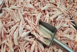 نظام الانقلاب يمهد لمجاعة وشيكة.. البداية بالترويج لأرجل الدجاج