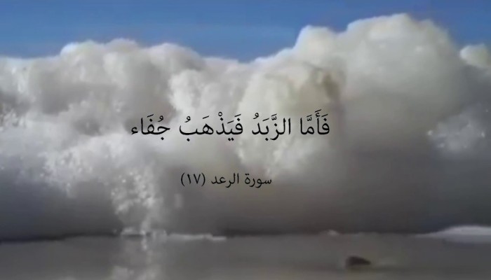 (فَأَمَّا الزَّبَدُ فَيَذْهَبُ جُفَاءً)