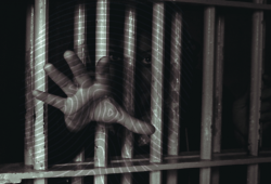 بالأسماء.. ظهور 8 من المختفين قسريا في نيابة أمن الدولة