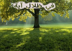في ظلال آية