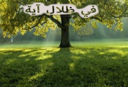 في ظلال آية