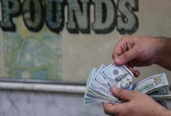 مصريون بالخارج يرفضون ضخ أموال في شركة الحكومة للاستثمار