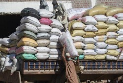 ارتفاعات جديدة بأسعار الأرز تحسباً لتخفيض قيمة الجنيه