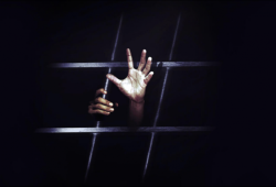 بالأسماء.. تجديد حبس 28 معتقلًا بالشرقية 45 يومًا