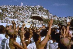 يوم عرفات.. دروس وعبر