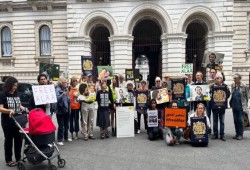 وقفة احتجاجية في لندن تطالب بالحرية للناشط علاء عبد الفتاح