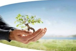 «فقه السيرة».. أفكار ملهمة لصناعة جيل النصر