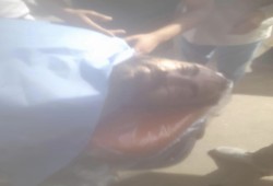 اعتقال شقيق رامي حسين ضحية التعذيب بقسم السلام