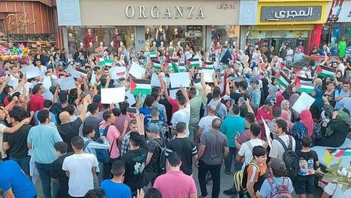 شرطة الانقلاب تفض مظاهرة داعمة لفلسطين بمحيط الأزهر وتعتقل محتجين