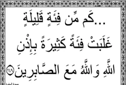 الفئة القليلة