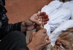 84 يوما من العدوان على غزة.. مجازر الإبادة الجماعية مستمرة