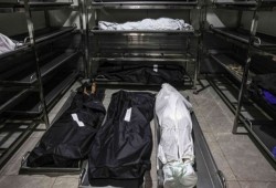 ارتفاع حصيلة ضحايا العدوان على غزة إلى 22722 شهيدا و58 ألف إصابة