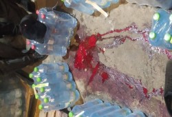 ارتقاء شهيد متأثرا بإصابته برصاص الاحتلال شمال طولكرم