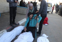 7 مجازر و69 شهيدًا بعدوان الاحتلال على غزة في 24 ساعة