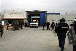 ارتفاع عدد شهداء الحركة الأسيرة إلى 14 منذ بدء العدوان