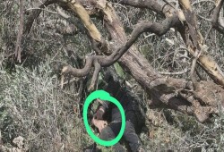 إصابة 7 جنود صهاينة باشتباكات غرب رام الله