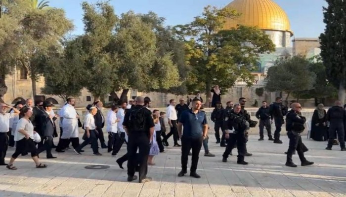 مستوطنون يقتحمون الأقصى.. والاحتلال يشدد إجراءاته في عيد المساخر