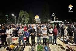 40 ألفًا يؤدون صلاتي العشاء والتراويح في المسجد الأقصى