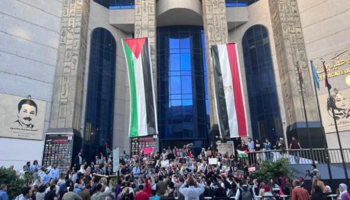 داخلية الانقلاب تعتقل نشطاء تظاهروا لدعم فلسطين على سلّم نقابة الصحفيين