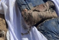 تقرير أممي: دفن أكثر من 20 فلسطينا أحياء في مجمع ناصر الطبي