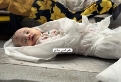 اليوم الـ 204 للعدوان على غزة.. الإبادة الجماعية مستمرة