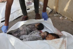 سيناتور أمريكي يطالب بوقف تواطؤ بلاده في الكارثة الإنسانية بغزة