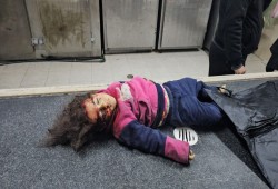 15 ألف شهيد من أطفال غزة منذ بدء العدوان