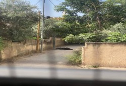 7 شهداء منهم طبيب ومعلم باقتحام الاحتلال مخيم جنين