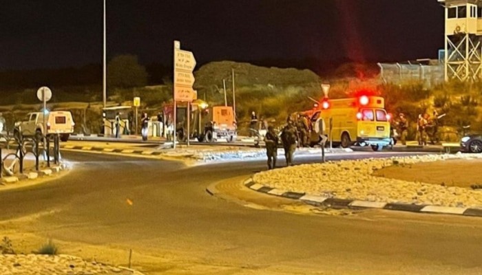 اشتباكاتٌ مسلحةٌ في جنين.. ومستوطنون يحرقون أشجار الزيتون شرق رام الله