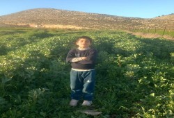 640 طفلا معتقلا لدى الاحتلال منذ بدء حرب الإبادة على غزة