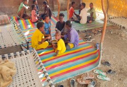 قوات الدعم السريع ترتكب مجزرة بولاية الجزيرة وسط السودان