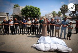 37 ألفا و431 شهيدا.. حصيلة العدوان على غزة منذ 7 أكتوبر الماضي