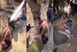 الأورومتوسطي يطالب بإقالة المقررة الأممية المعنية بمسألة التعذيب