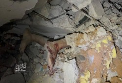 اليوم الـ 309 للعدوان على غزة... الإبادة الجماعية مستمرة