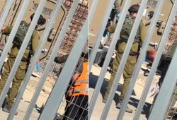 فلسطيني يصيب حارس مستوطنة ويستولي على سلاحه