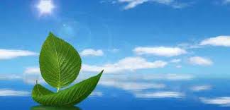 التربية.. والمحاضن الملوثة!