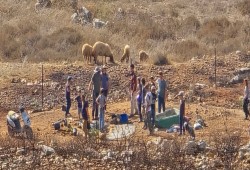 صهاينة يحطمون مشتلا زراعيا في نابلس وتجريف 60 دونما برام الله