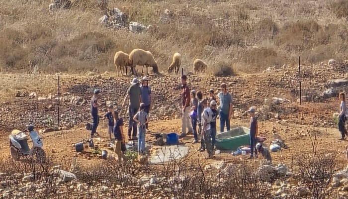 صهاينة يحطمون مشتلا زراعيا في نابلس وتجريف 60 دونما برام الله