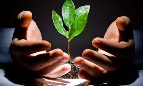 ١٢ نصيحة للتربية الصحيحة لطفلكِ نفسيًا وبدنيًا